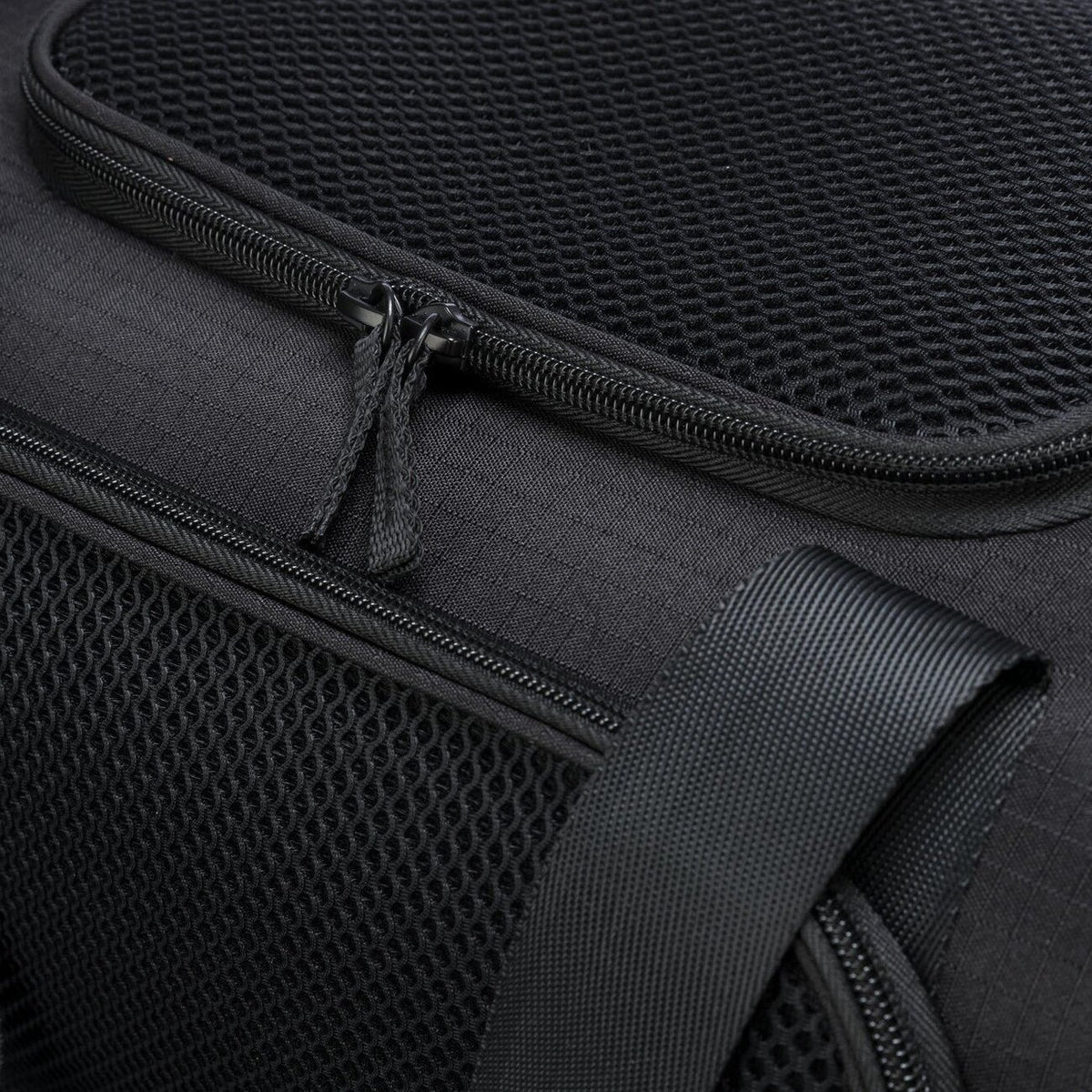 Airline Tasche Plane für Hund und Katze