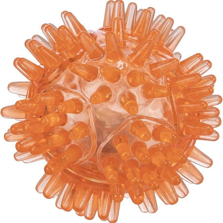 Igel Blinkball für Hunde aus TPR