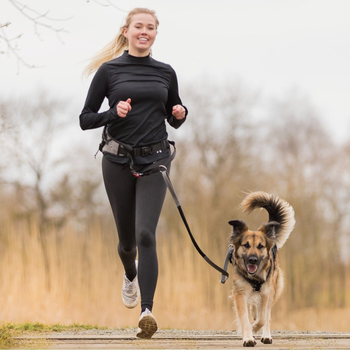 Joggingleine Hund mit Schnelllösefunktion