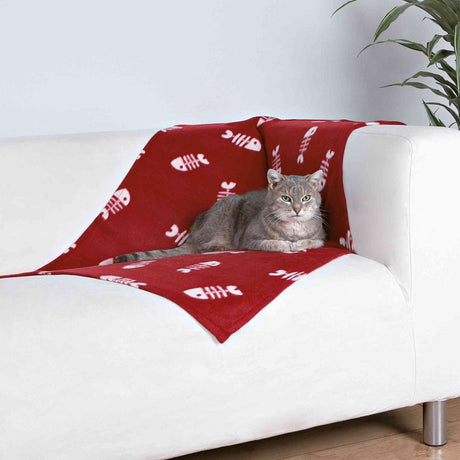 Katzendecke Beany