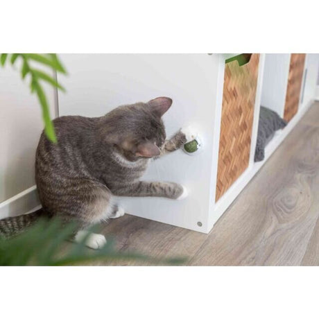 Katzenminze Ball mit Halterung