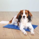 Hunde Kühlmatte