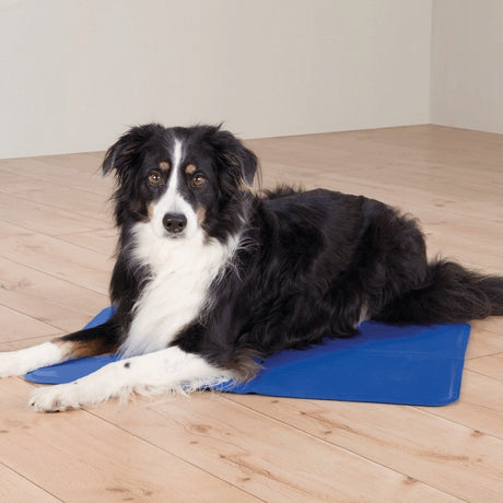 Hunde Kühlmatte
