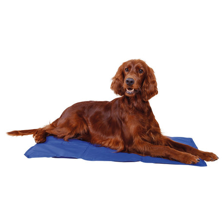 Hunde Kühlmatte