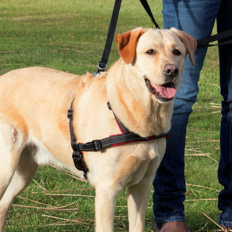 Trixie Lead'n'Walk Soft Erziehungsgeschirr