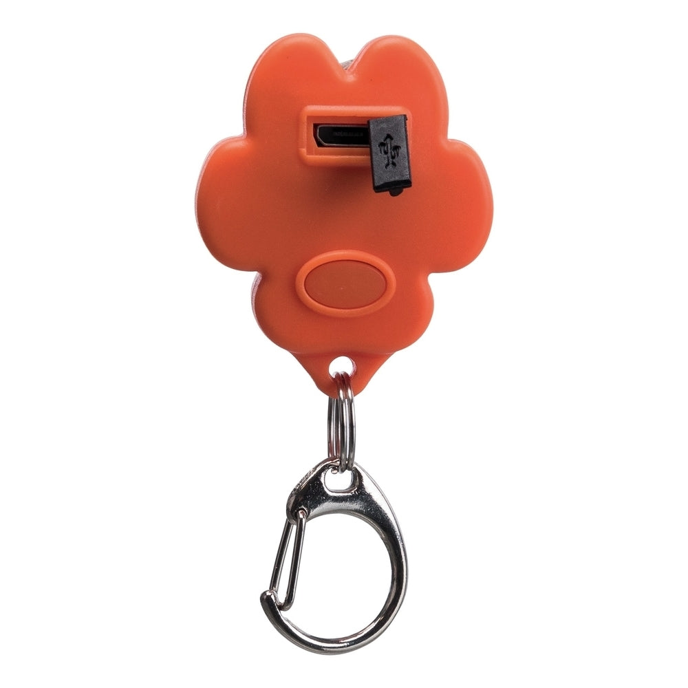 Trixie Leuchtanhänger Flasher für Hunde, USB