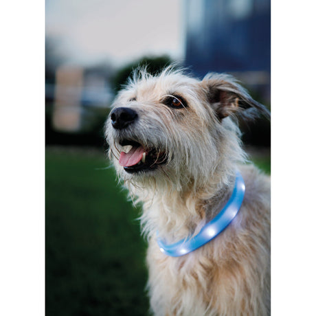 Leuchtband für Hunde USB breit