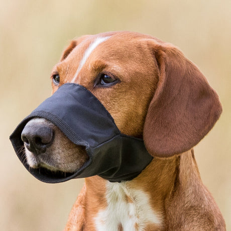Maulschlaufe für Hunde