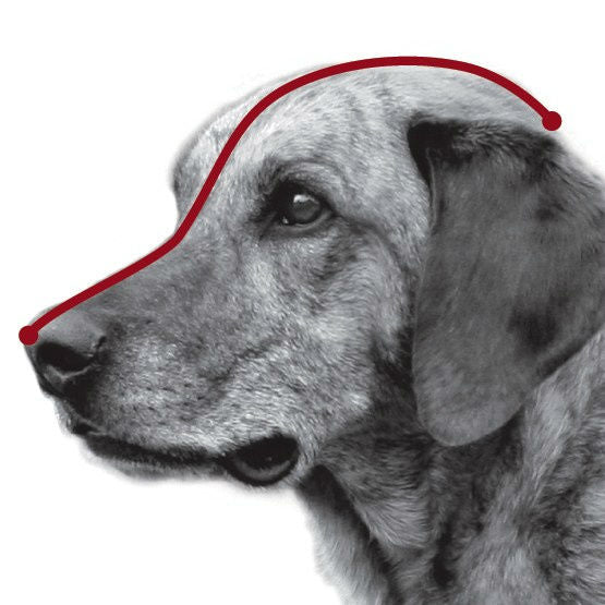 Trixie Muzzle Flex Maulkorb