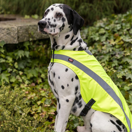 Hunde Sicherheitsweste mit Bauchgurt
