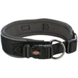 Premium Hunde Halsband mit extra breiter Neoprenpolsterung