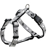 reflektierendes Hundegeschirr – M-L: 50 - 75 cm / 25 mm
