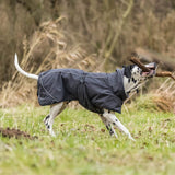 Regenmantel für Hunde Calvi