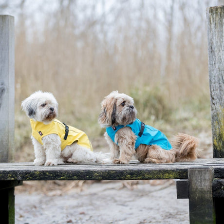 Hunde Regenmantel Vimy mit Bauchschutz