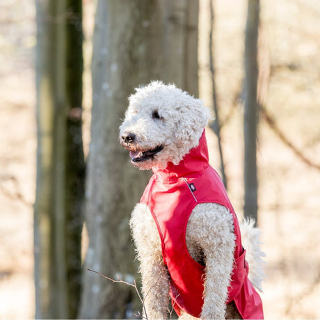 Hunde Regenmantel Vimy mit Bauchschutz
