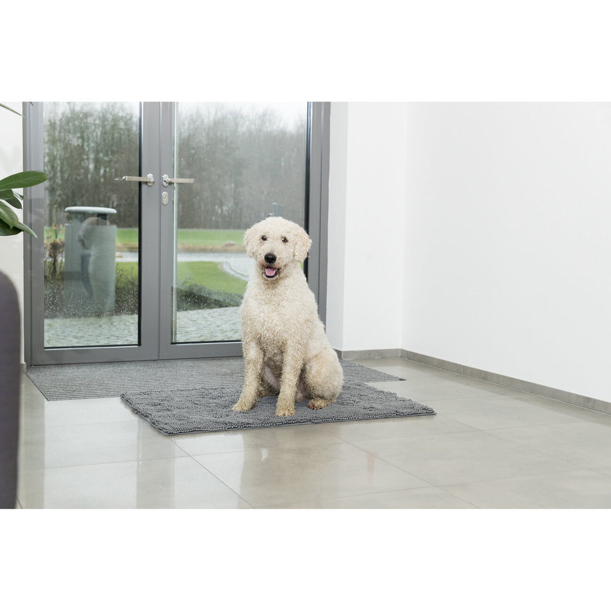 Schmutzfangmatte für Hunde