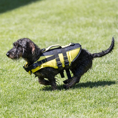 Schwimmweste für Hunde