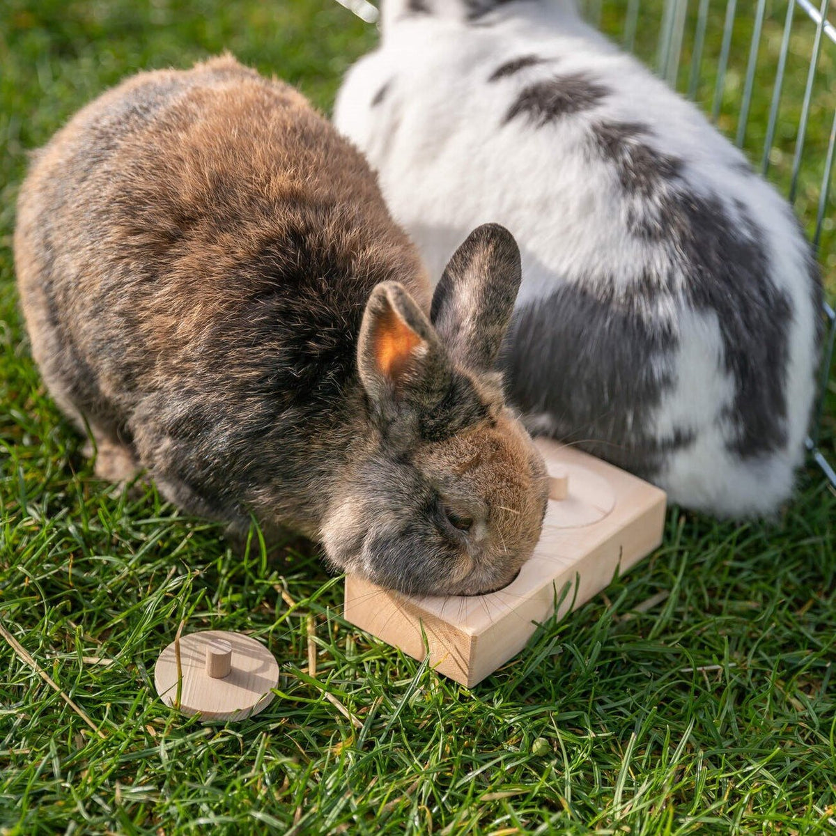 interaktive Snack Box für Kleintiere, Nager
