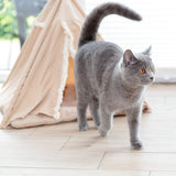 Soft Edition Boho Tipi für Katzen und kleine Hunde