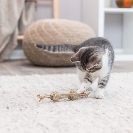 Spielzeug Hantel für Katzen