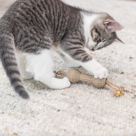 Spielzeug Hantel für Katzen