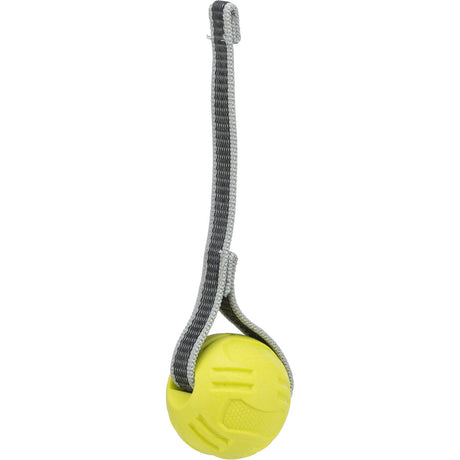 Sporting Ball am Gurt für Hunde
