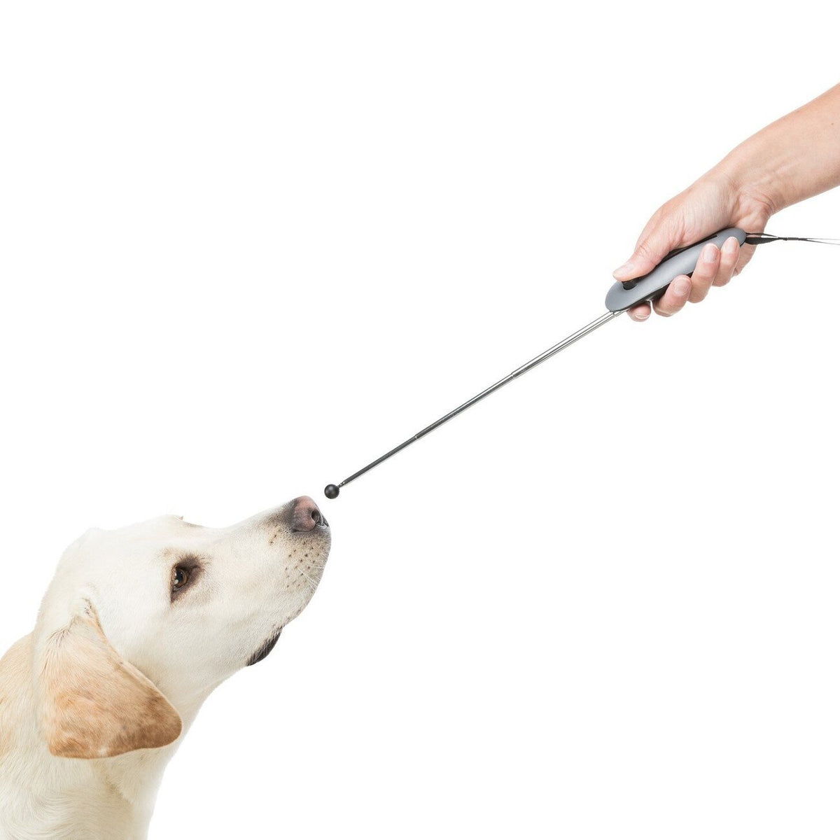 Target Stick mit Clicker