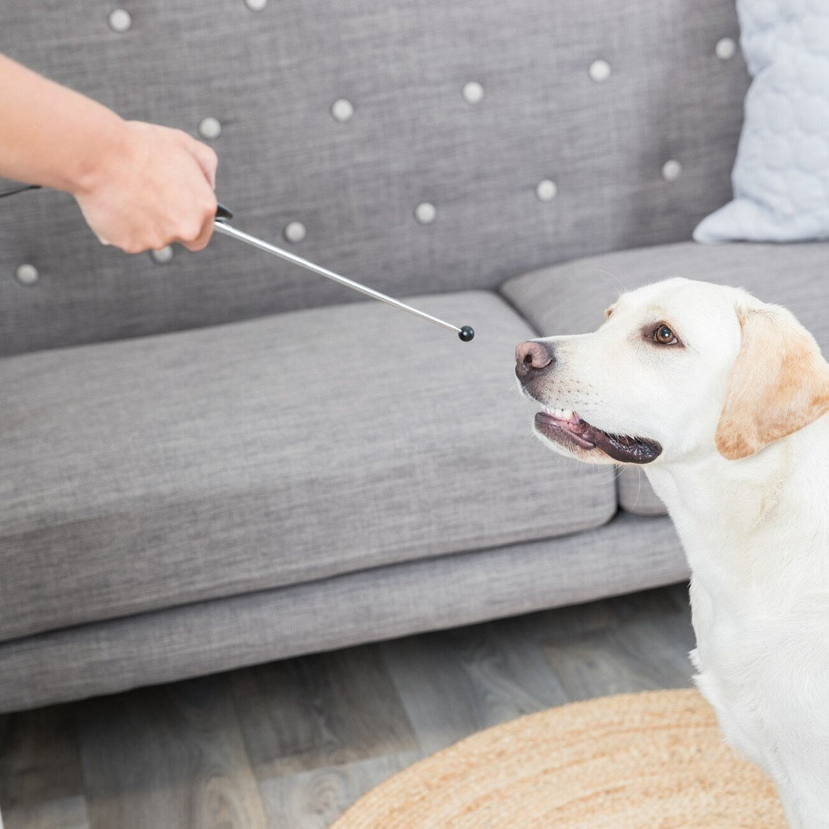 Target Stick mit Clicker