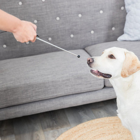 Target Stick mit Clicker