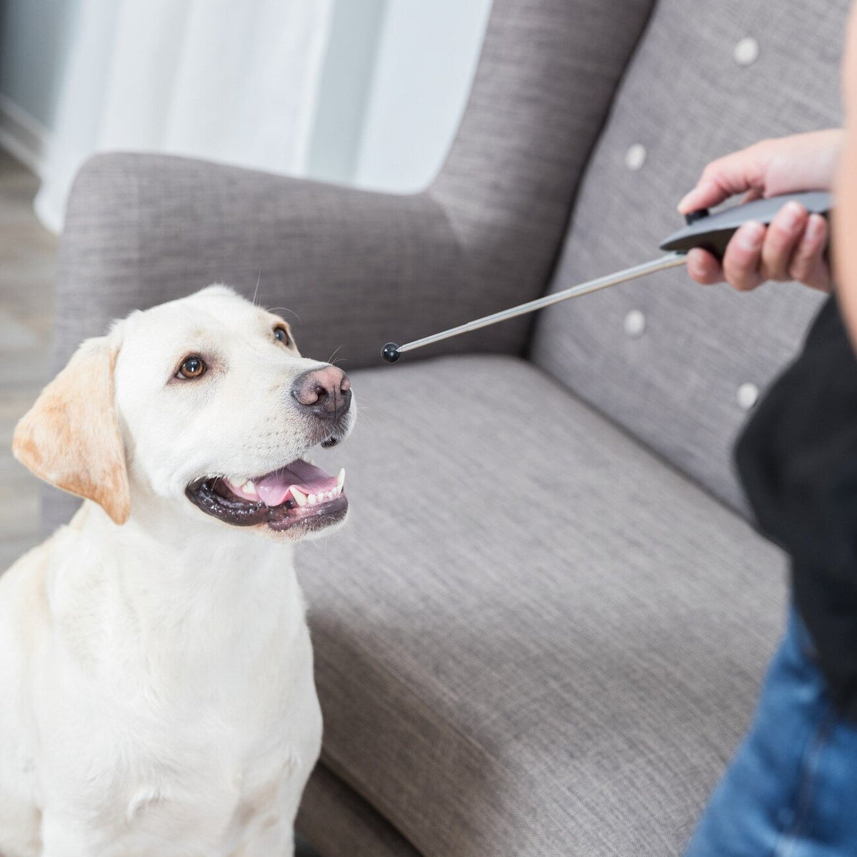 Target Stick mit Clicker
