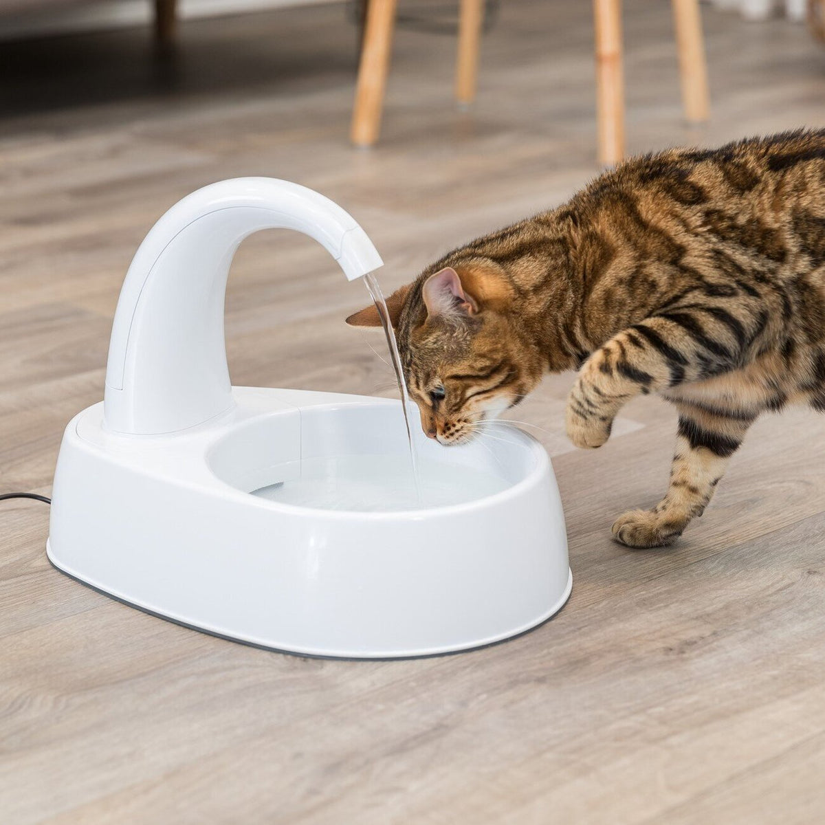 Trinkbrunnen Curved Stream für Katzen
