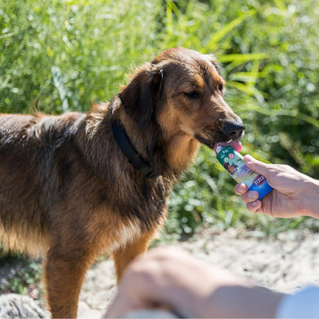 Veggiecreme für Hunde