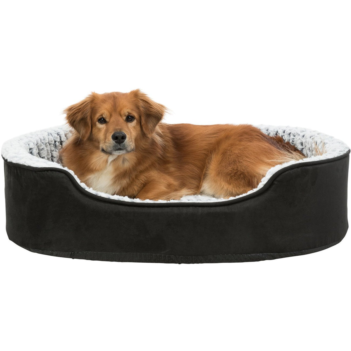 Vital Hundebett Lino mit Memory Effekt