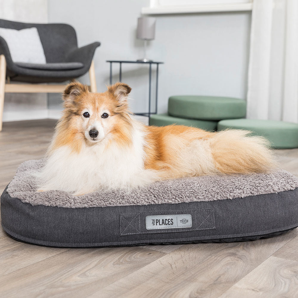 HOME Edition Vital Kissen Bendson