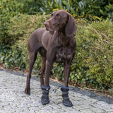 Pfotenschutz Walker Active Long für Hunde mit Profilsohle