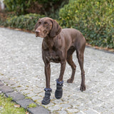 Pfotenschutz Walker Active Long für Hunde mit Profilsohle