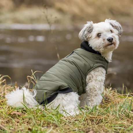 Hundemantel Arlay wasserabweisend