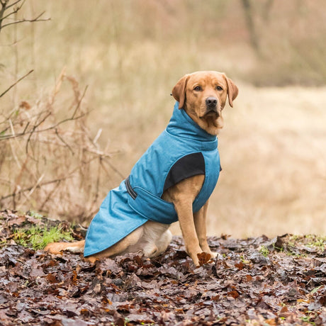 Hundemantel Riom  für den Winter