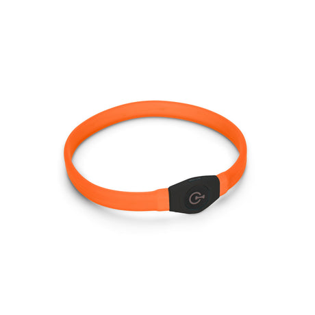 Visio Light Leuchthalsband LED für Hunde mit Langhaar