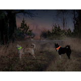 Visio Light Leuchthalsband LED für Hunde mit Langhaar