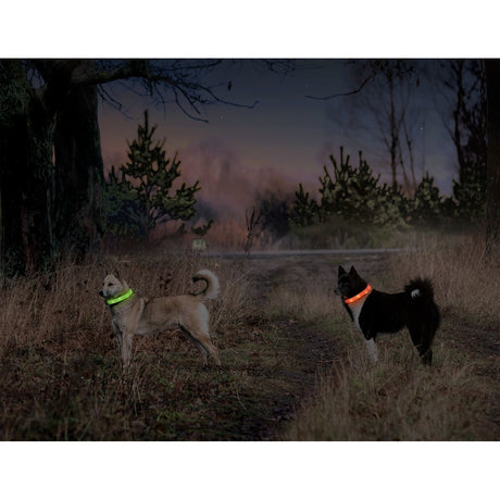 Visio Light Leuchthalsband LED für Hunde mit Langhaar