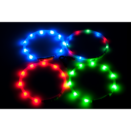 Visio Light Leuchthalsband für Hunde