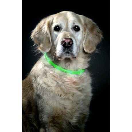 Visio Light Leuchthalsband für Hunde