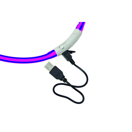 Visio Light Leuchthalsband für Hunde