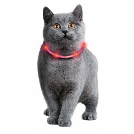 Visio Light Leuchthalsband für Katzen und kleine Hunde