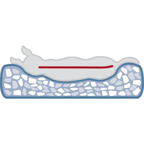 Vital Kissen Noah