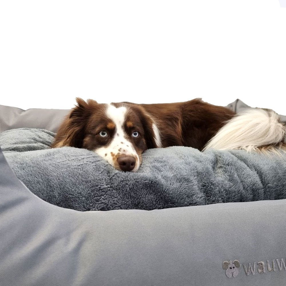 Das Regulierende - Hundebett mit Wendekissen