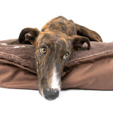 Hundekissen Akani mit Plüsch