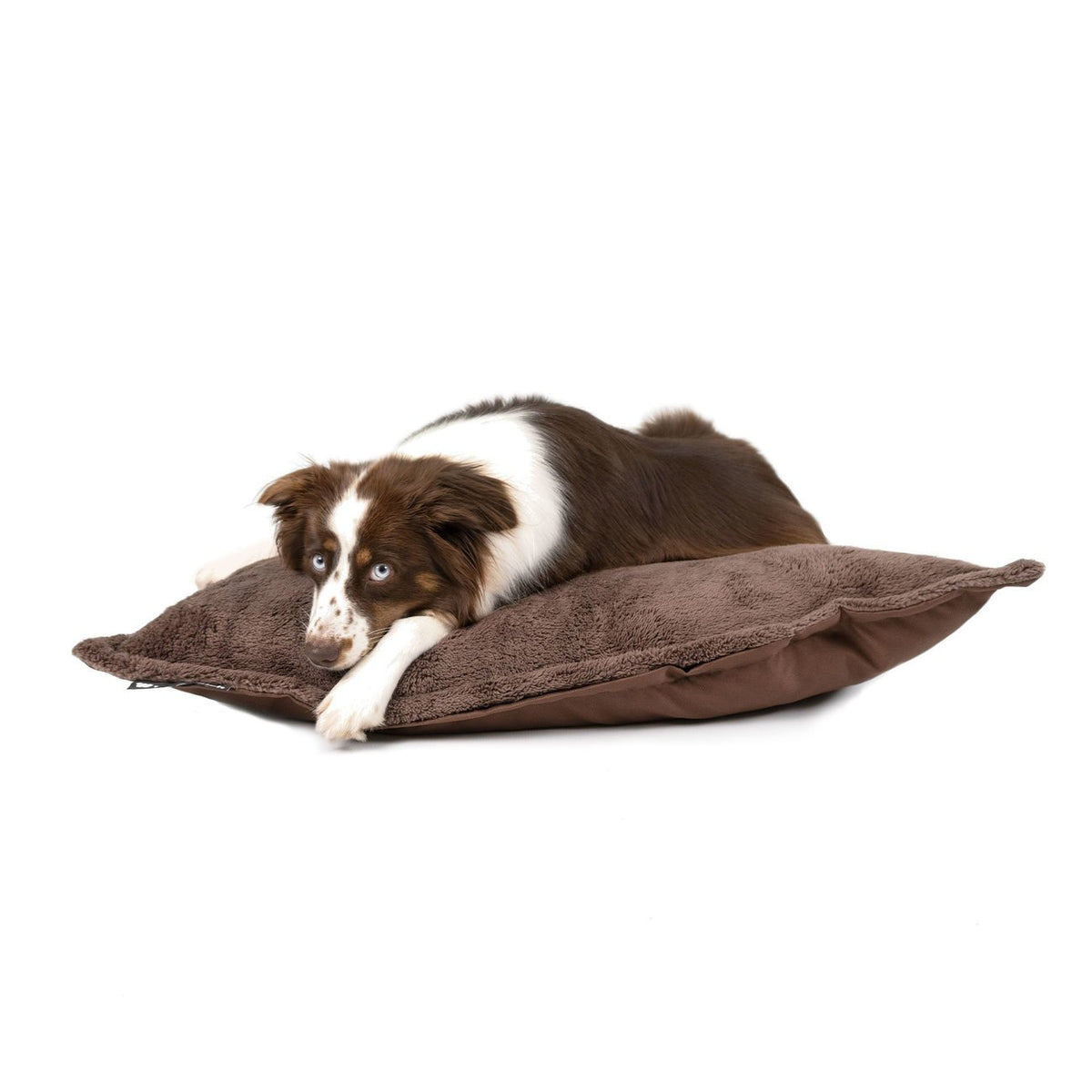 Hundekissen Akani mit Plüsch