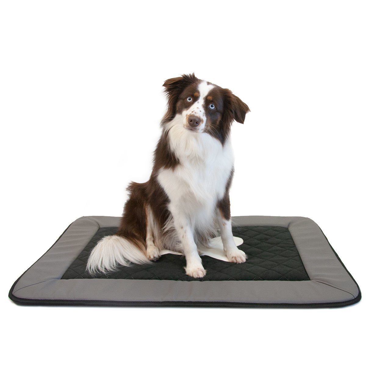 Hundematte mit Knochen-Motiv